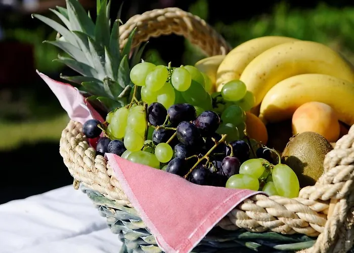 Panorama 3* Elbigenalp
