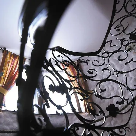 Panorama 埃尔比格纳尔普