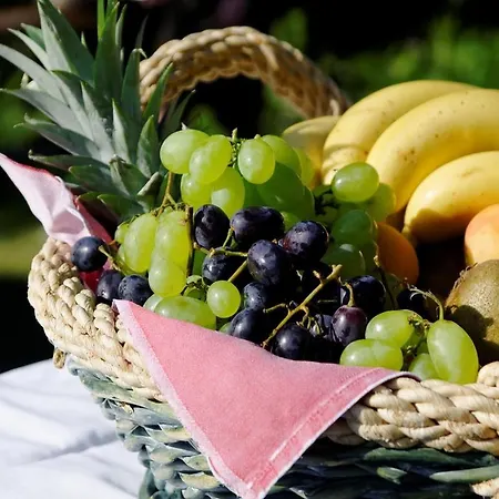 Panorama 3* 埃尔比格纳尔普